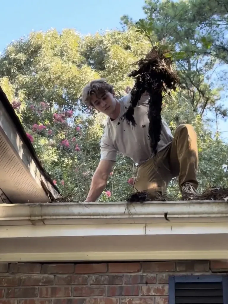 A matted clump of decomposed leaves and pine needles lifted out of a clogged gutter by hand