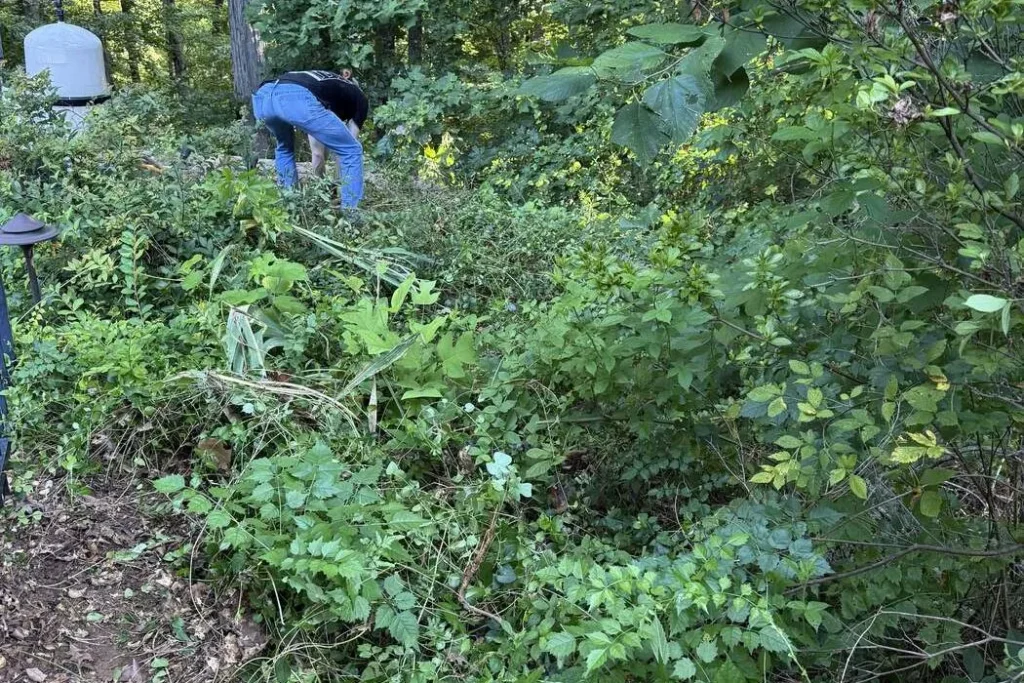 2MT Services crew cutting back heavy brush on an overgrown property in Cobb County, Georgia